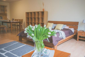 Apartamenty przy Zamku, Olsztyn